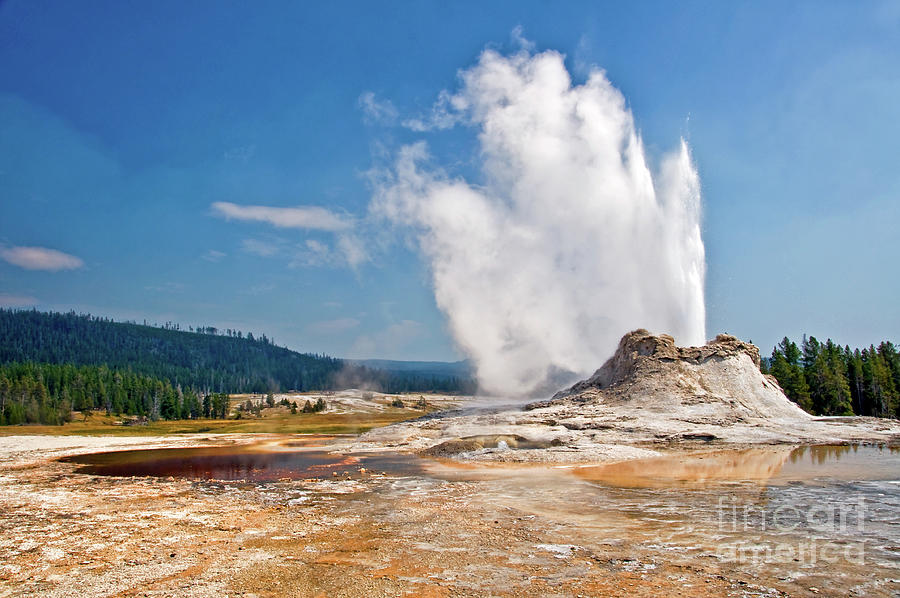 Yellowstone National Park Photograph - Castle Geyser, Yellowstone national park by Delphimages Photo Creations