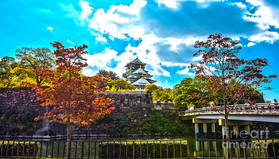 Castle in Osaka Photograph by Pravine Chester