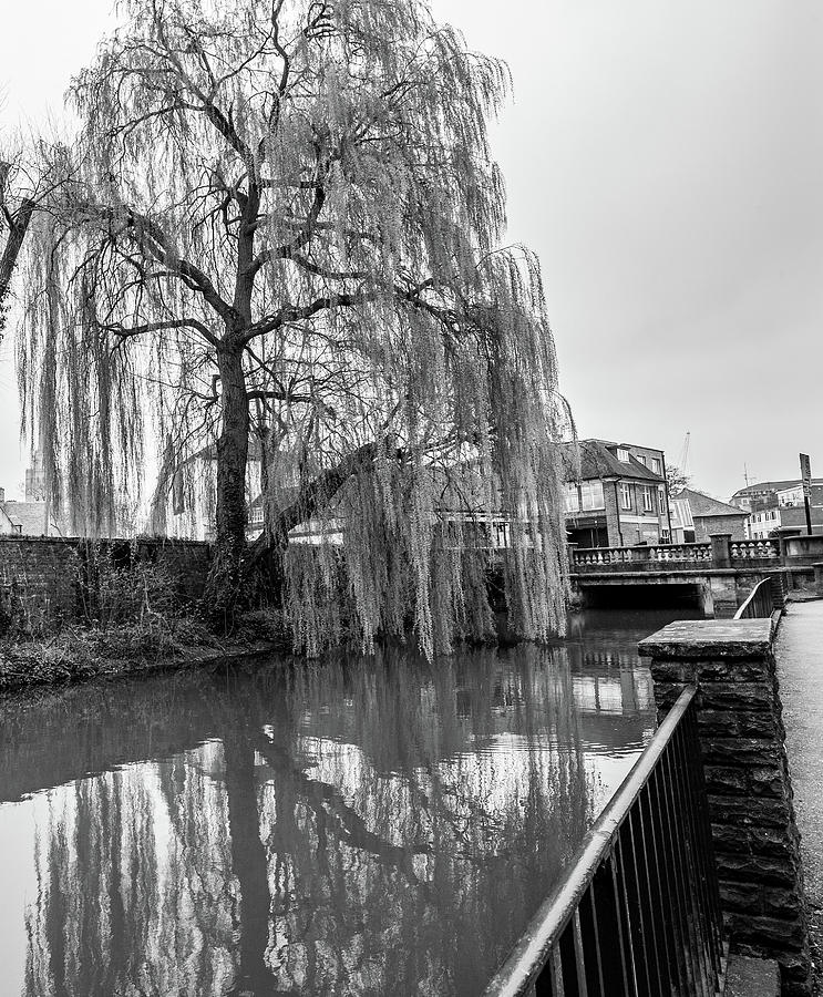 Castle Mill Stream, Oxford Photograph by Ed James