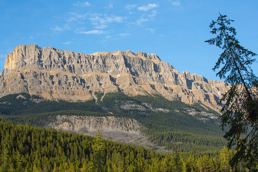 Castle Mountain Banff Photograph by Sam Amato