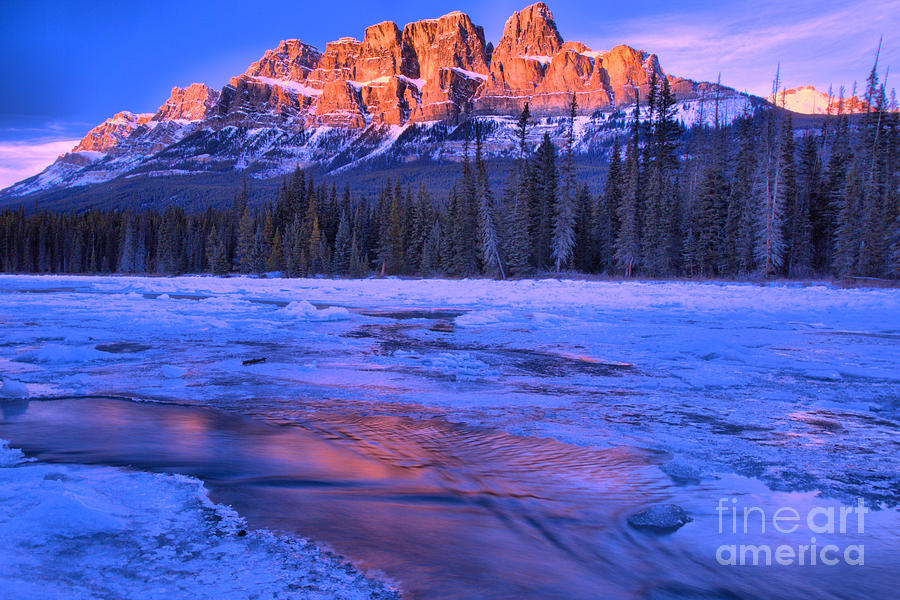 Castle Mountain Purple Refelctions Photograph by Adam Jewell