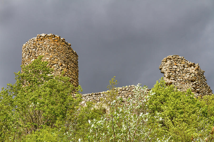 Castle of St Firmin - 1 Photograph by Paul MAURICE