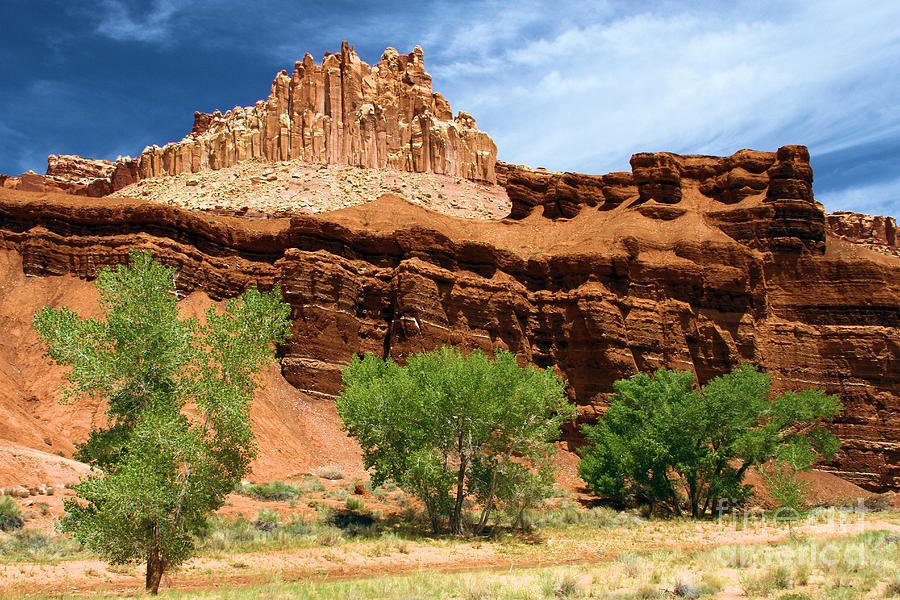 Capitol Reef National Park Photograph - Castle Over Cottonwoods by Adam Jewell