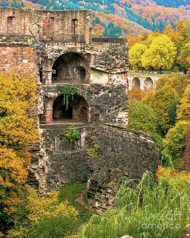 Castle Ruins Heidelberg Germany Photograph by Amy Sorvillo | Fine Art ...