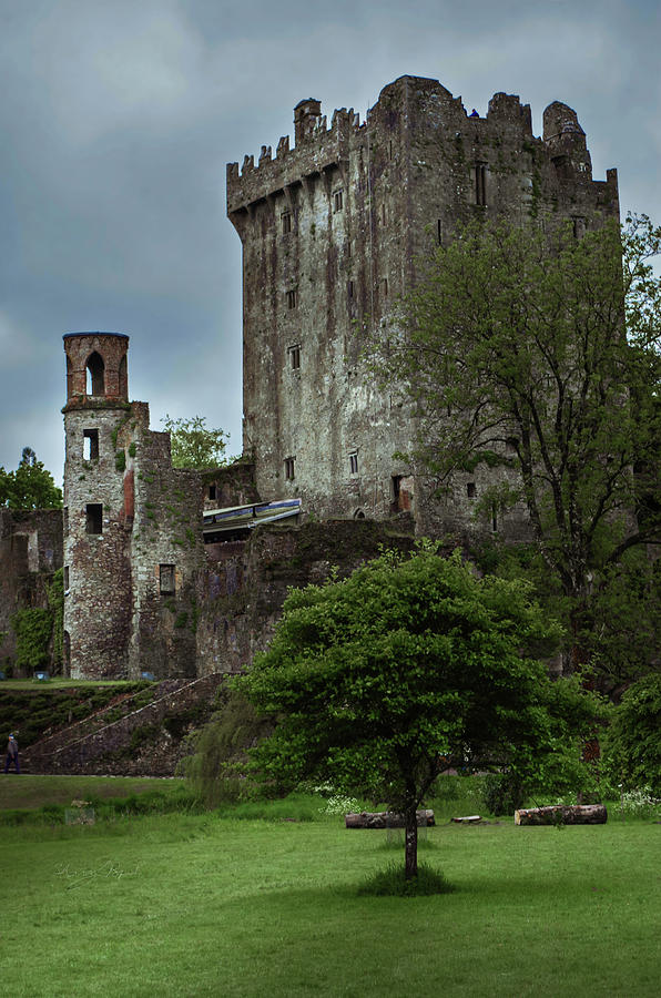 Castle Turret Photograph by Sharon Popek