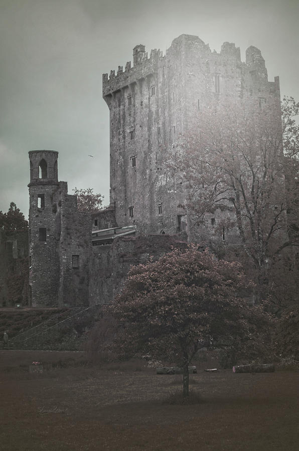 Castle Vignette Photograph by Sharon Popek