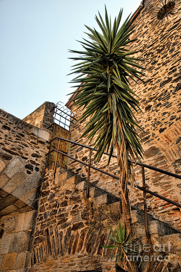 Castle Walls Stairs Collioure France  Photograph by Chuck Kuhn