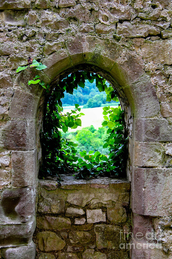 Castle Window Photograph by SnapHound Photography