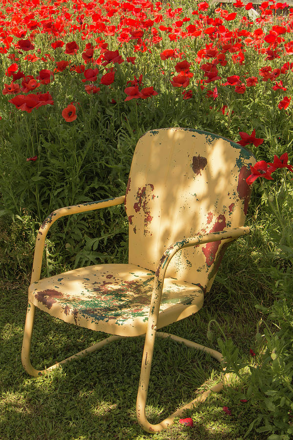 Castro Poppies and Old Yellow Chair Photograph by Teresa Wilson