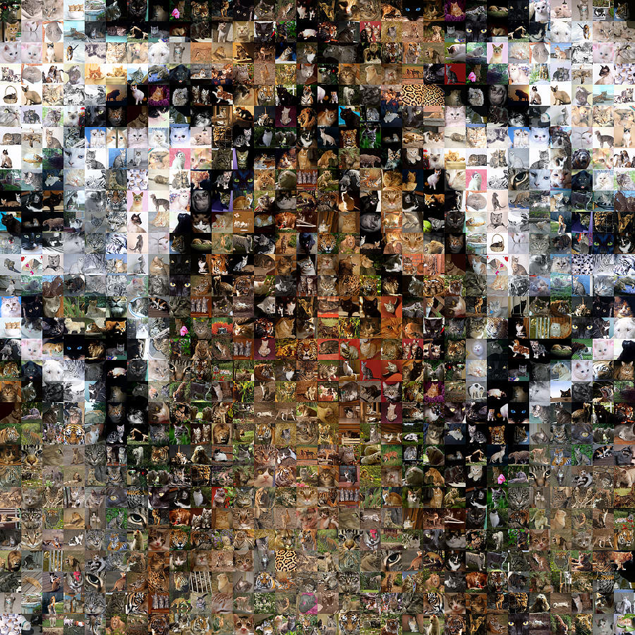 Tiger Digital Art - Cat 01 by Gilberto Viciedo