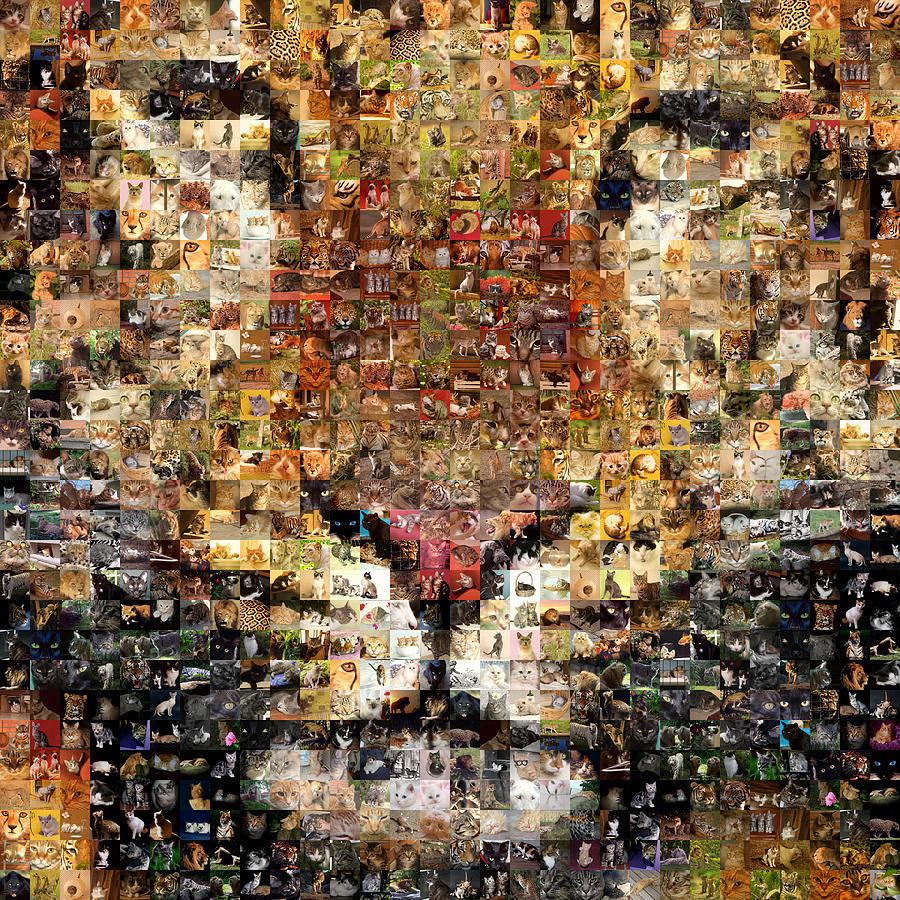 Tiger Digital Art - Cat 03 by Gilberto Viciedo