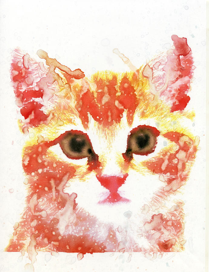 Cat Painting - Cat 1 by Donny Art
