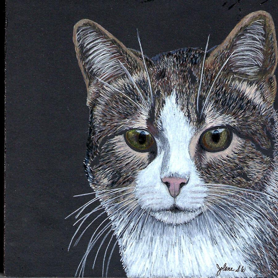 Cat #1 Drawing by Jolene Stinson Williams - Fine Art America