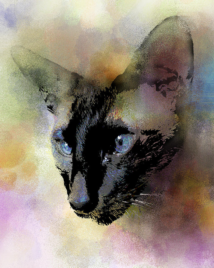 Cat 620 Siamese Digital Art by Lucie Dumas