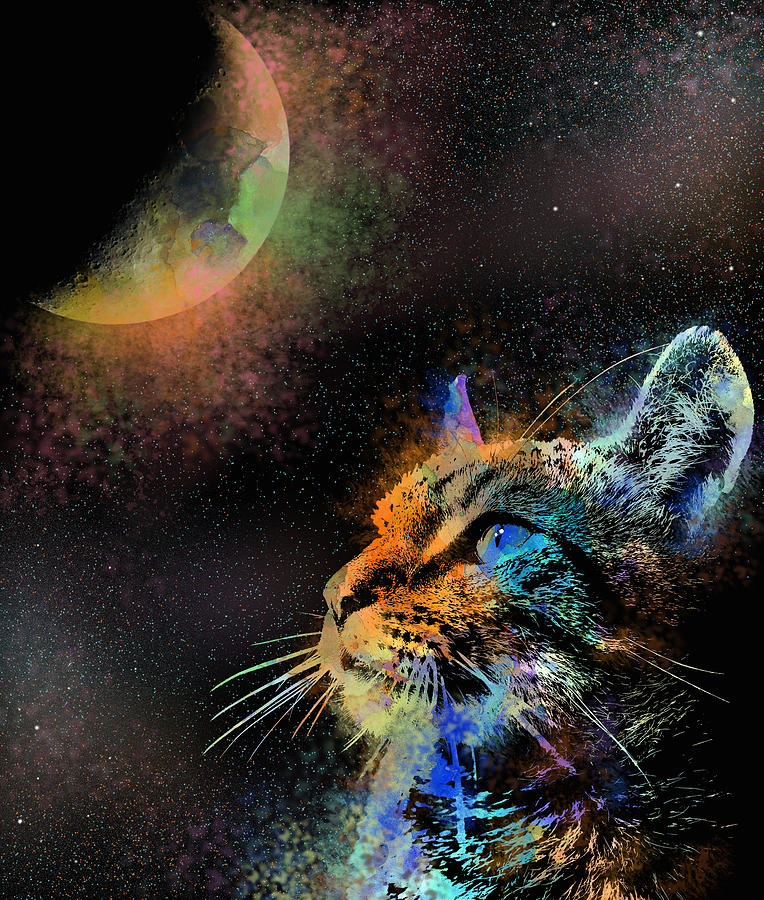 Cat 624 Digital Art by Lucie Dumas