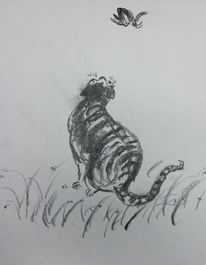 cat and butterfly sketch easy