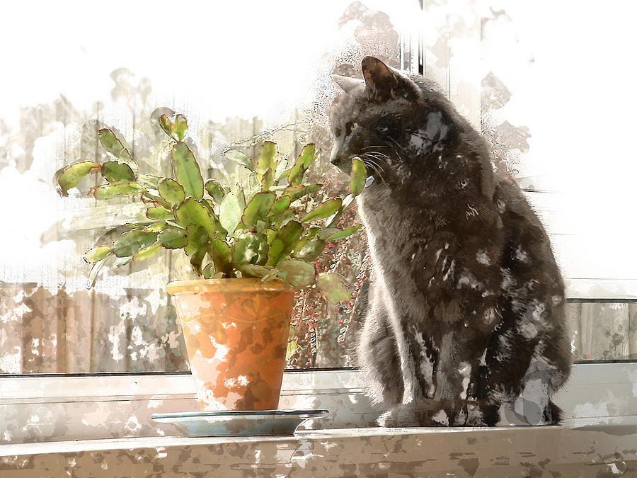 Cat And Cactus On Window Sill Perch Painting By Elaine Plesser