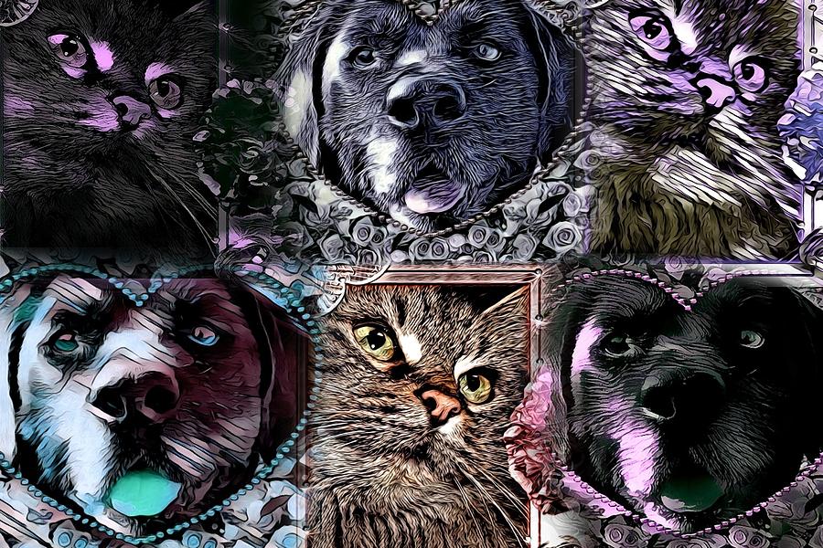 Cat and Dog Collage by Artful Oasis 1 Digital Art by Artful Oasis - Pixels