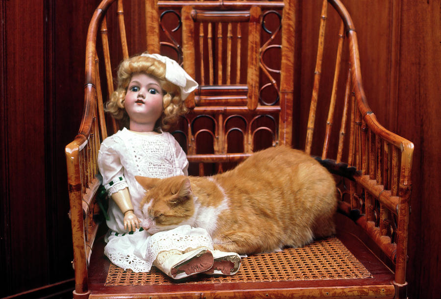 Cat and Doll Photograph by Sally Weigand