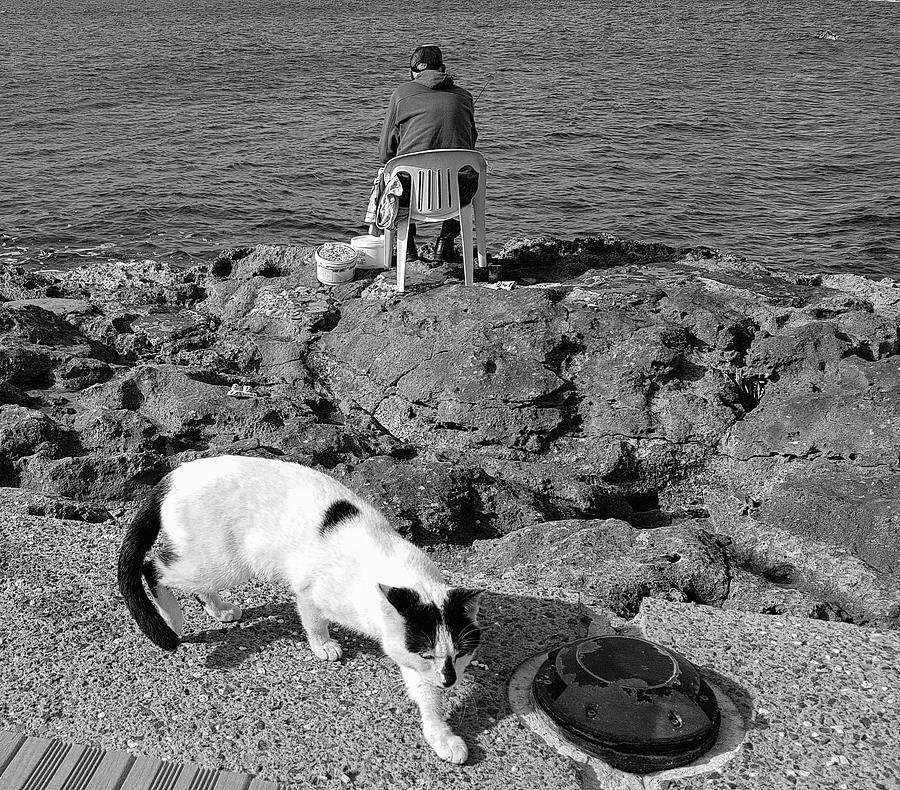 Cat and fisherman on the rocks Photograph by Iordanis Pallikaras