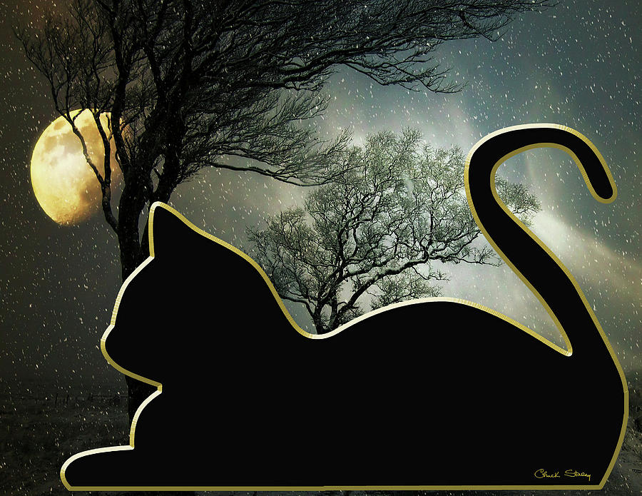 Cat and Moon Digital Art by Chuck Staley