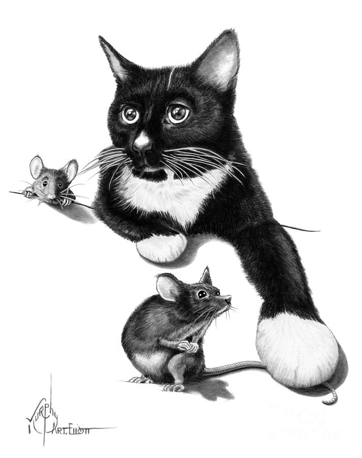 Cat And Mouse Drawing By Murphy Elliott