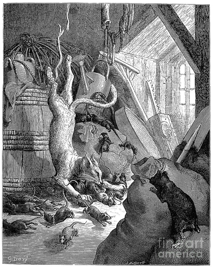 Cat And The Old Rat Drawing by Gustave Dore
