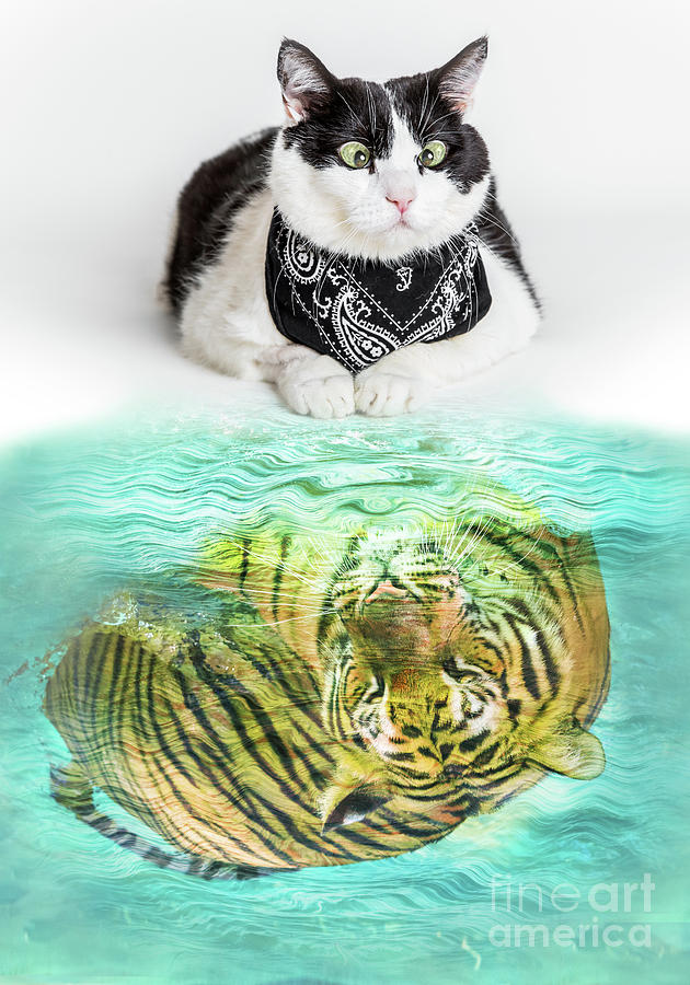 Cat and Tiger Digital Art by Benny Marty