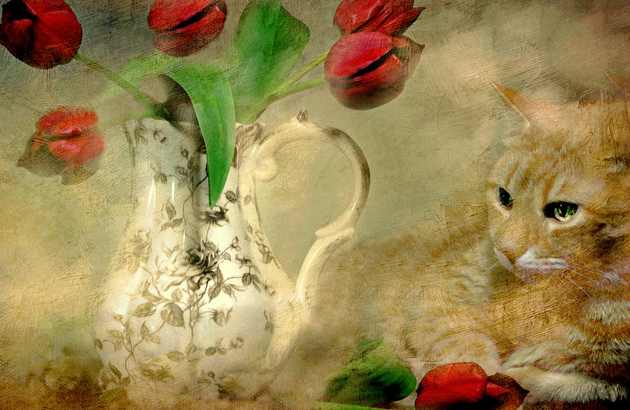 Cat And Tulips Photograph by Diana Angstadt