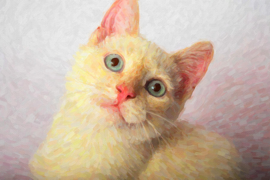 Cat Painting by Prince Andre Faubert