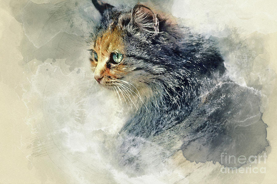 CAT Aquarelle Painting by Dimitar Hristov