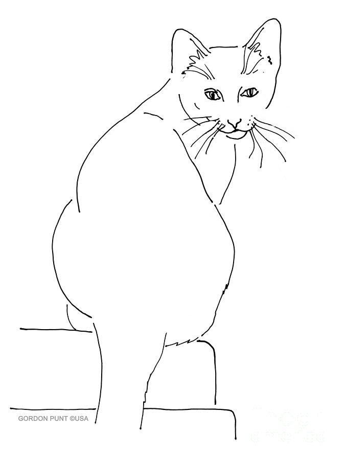 Cat-Artwork-Prints Drawing by Gordon Punt
