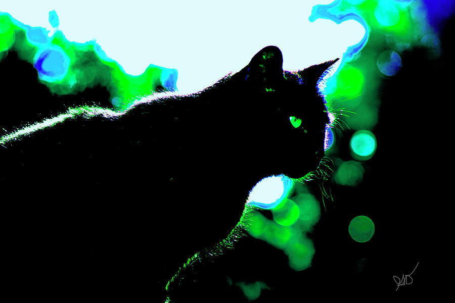 Cat Bathed In Green Light Photograph