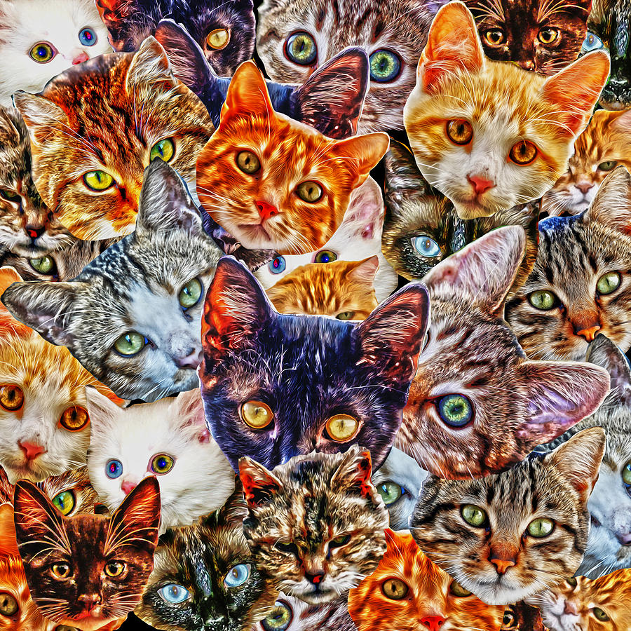 cats in window collage throw