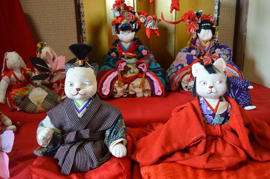 Cat Photograph - Cat dolls by Keisuke Ueda