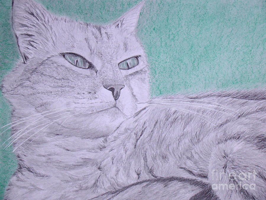 Cat Drawing Drawing by Cybele Chaves