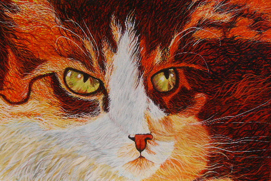 Animal Painting - Cat Eye by Shahid Muqaddim