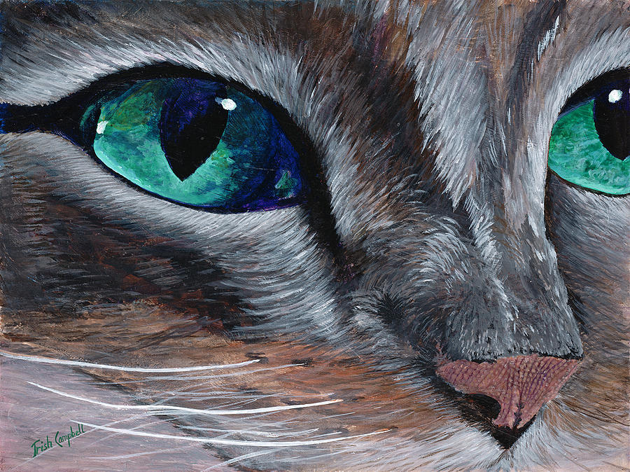 Cat Painting - Cat Eye by Trish Campbell