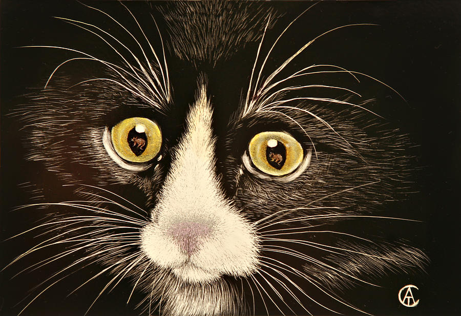 Cat Eyes Painting by Angie Cockle