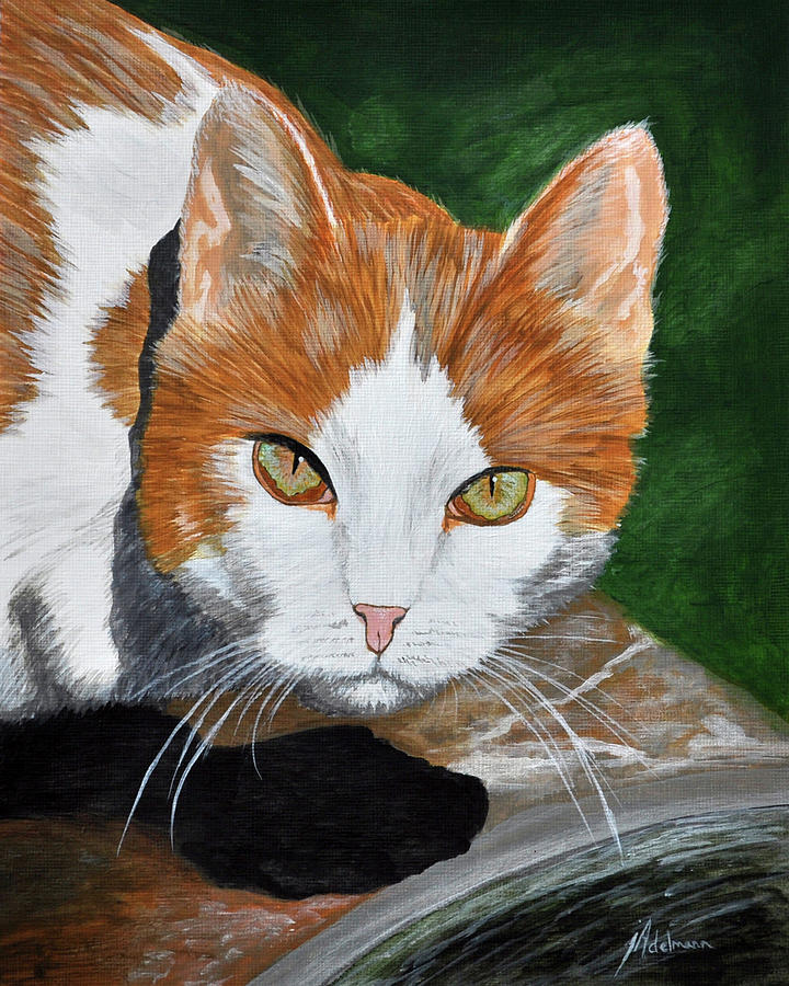 Cat Eyes Painting by Jessie Adelmann
