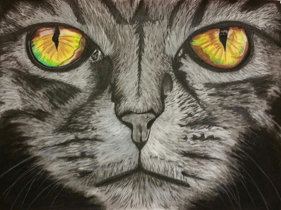 Cat Eyes Drawing by Kimberly Piro