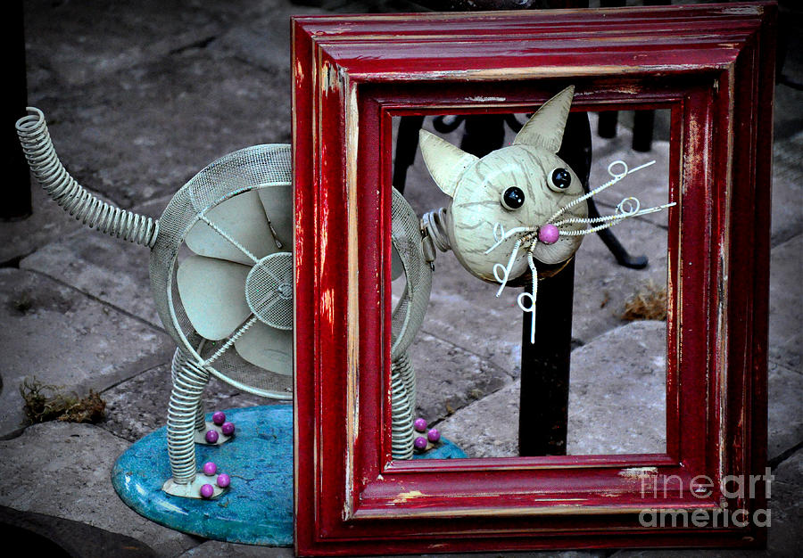 Cat in a Frame Photograph by Tatyana Searcy