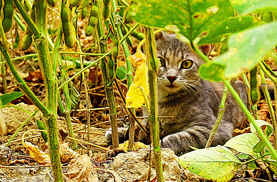 Cat in field Painting by Queso Espinosa