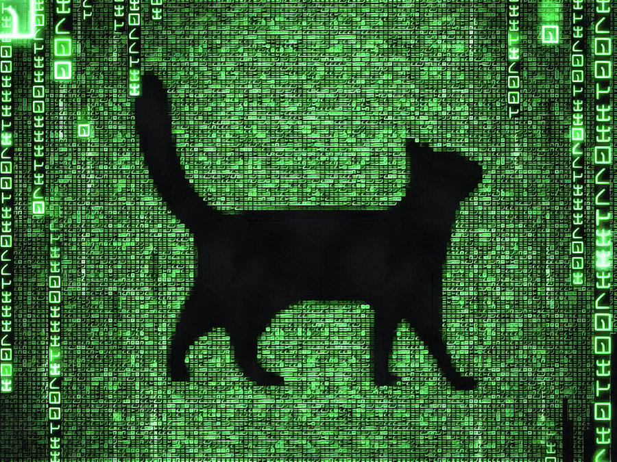 Cat In The Matrix Black And Green Digital Art