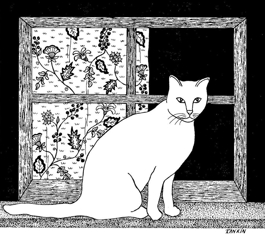 Cat in Window Drawing by K S Rankin