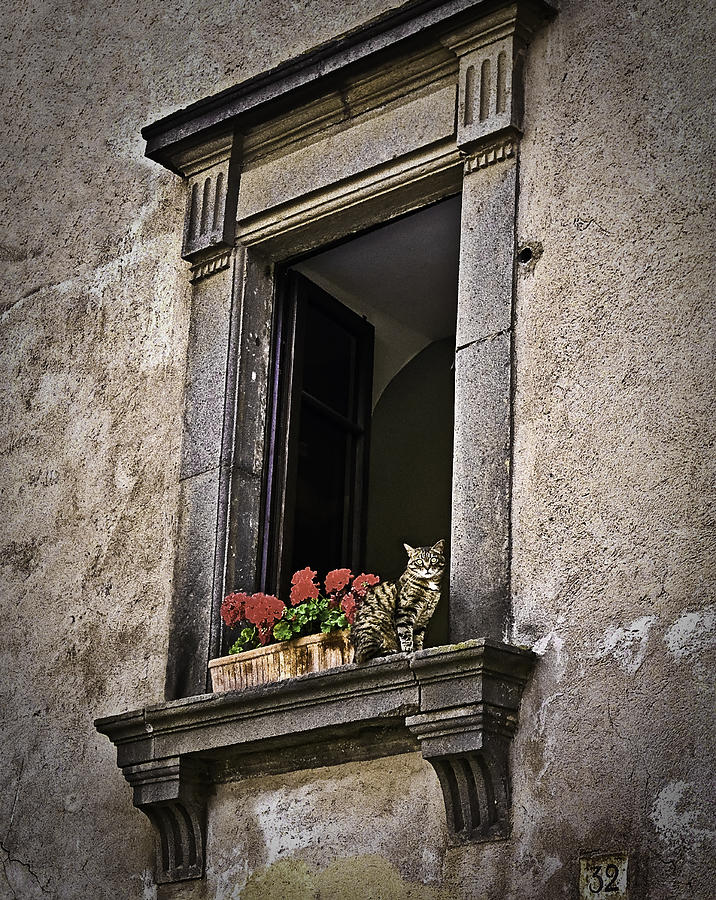 Architecture Photograph - Cat in Window by Mark Coran