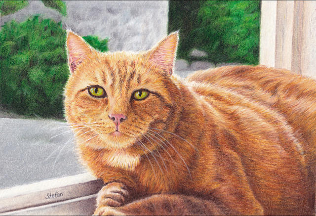 Cat in Window Painting by Stefan Jayne - Fine Art America