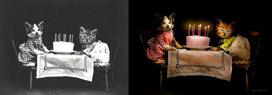 Cat - Its our birthday - 1914 - Side by Side Photograph by Mike Savad