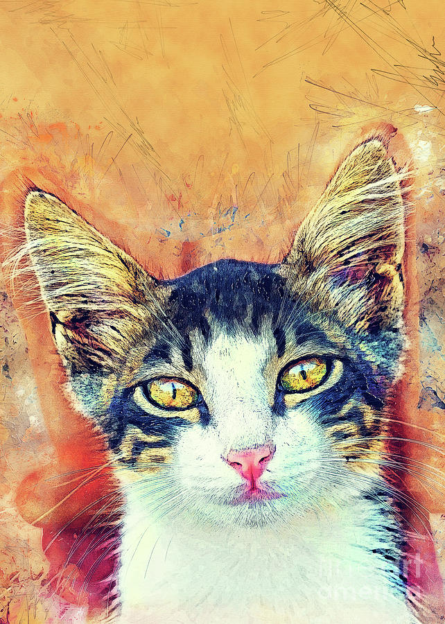 Cat Jacky art Painting by Justyna Jaszke JBJart