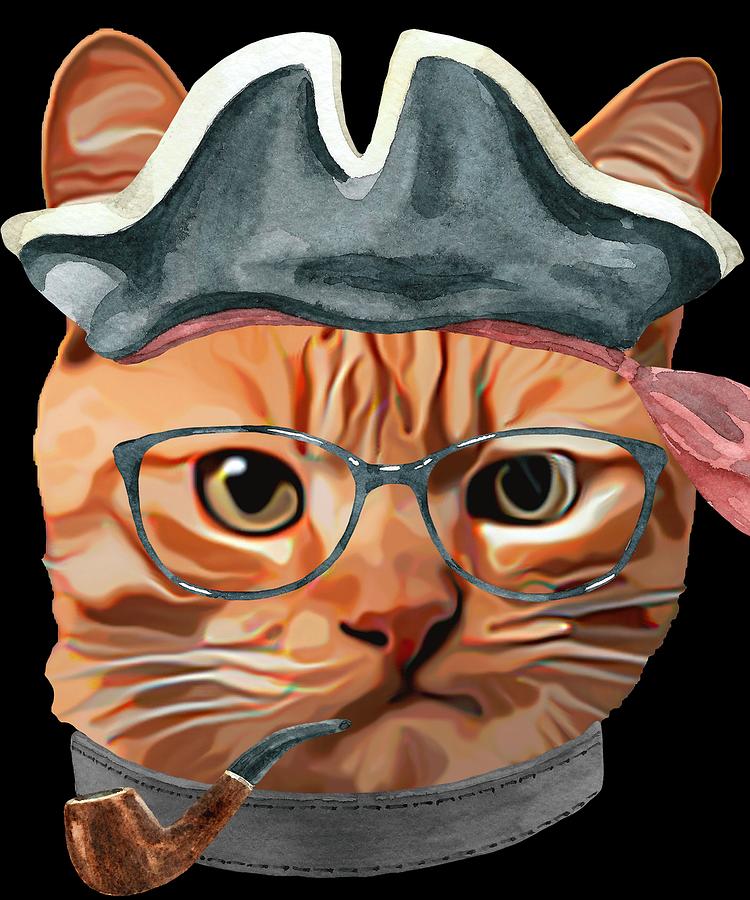 cat and the hat clothes